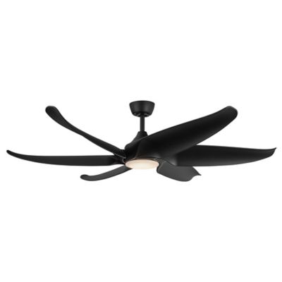 Coronado Smart LED Ceiling Fan