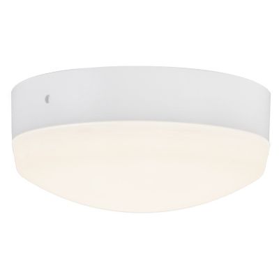 Hugo LED Light Kit