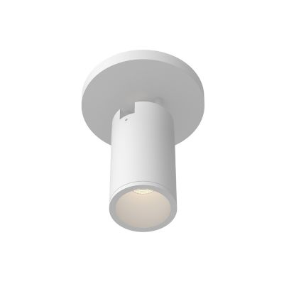 Lorna LED Adjustable Ceiling Mount