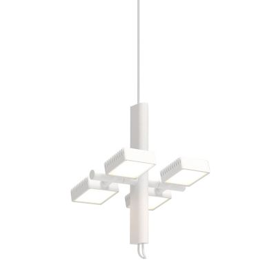 DOR01 LED Pendant