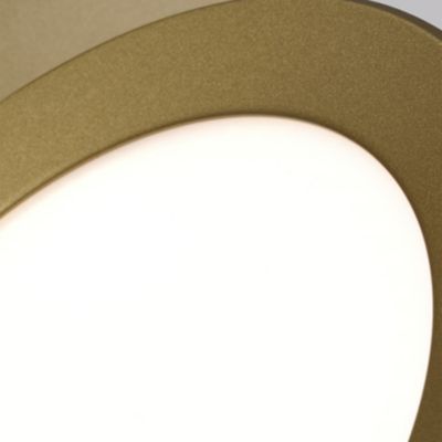 Spectica LED Wall Sconce