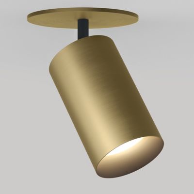 CM1 Adjustable LED Monopoint