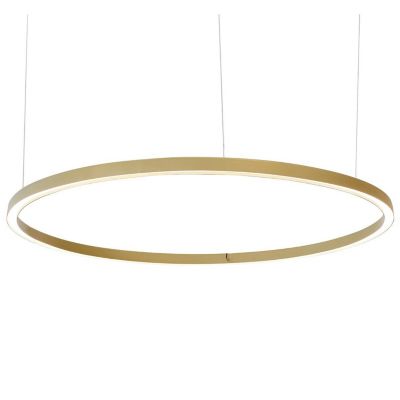 Compendium Circle LED Pendant