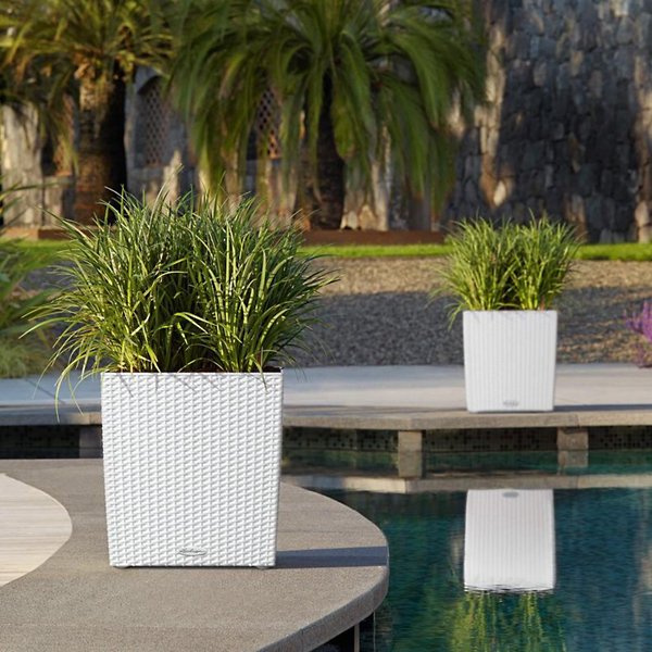 Cube Cottage AIO Self-Watering Indoor/Outdoor Planter