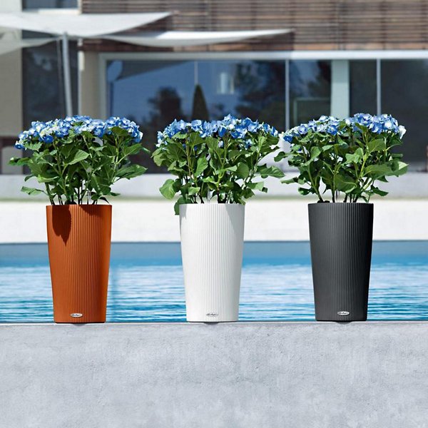 Cilindro Color Self-Watering Indoor/Outdoor Planter