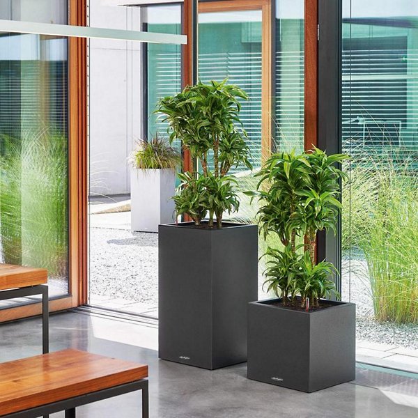 Canto Stone Column Self-Watering Indoor/Outdoor Planter