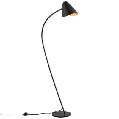 Organic Floor Lamp