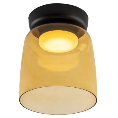 Levels 1 LED Flushmount