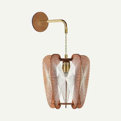Arioca Wall Sconce with Downward Arm