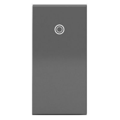 Paddle 1-Module Switch