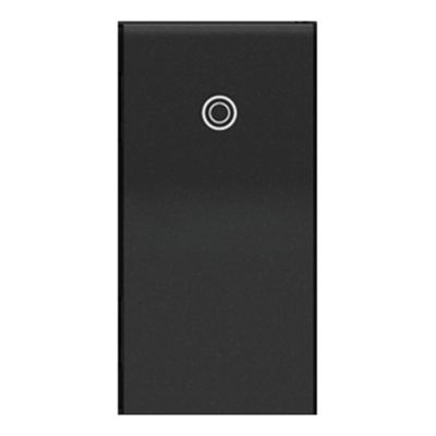 Paddle 1-Module Switch