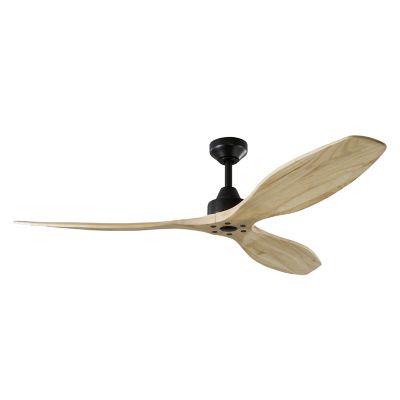 Hexanova Smart Ceiling Fan
