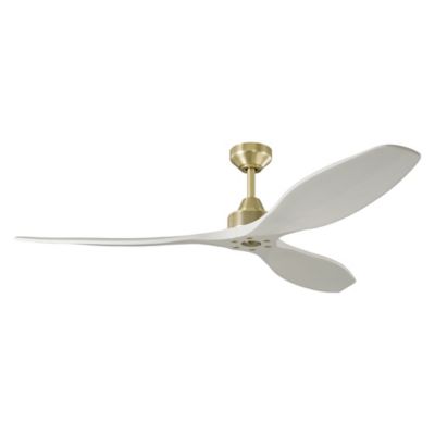 Hexanova Smart Ceiling Fan