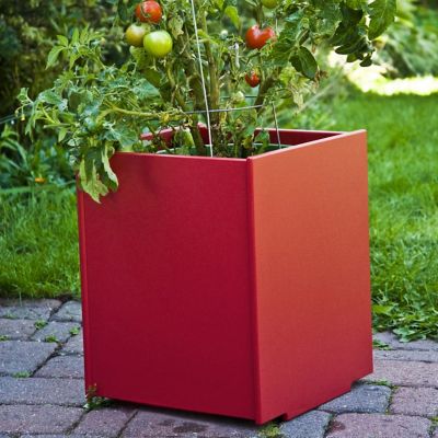 Shown in Apple Red color, 18 inch size, in use