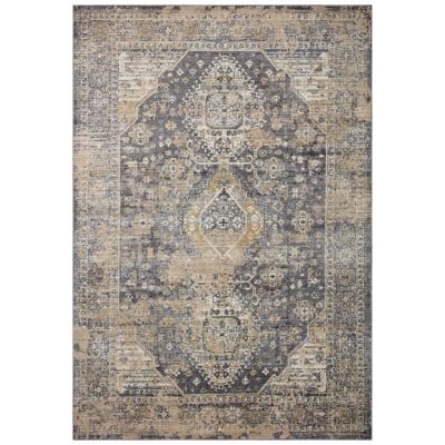 Indra Distressed Cartouche Area Rug