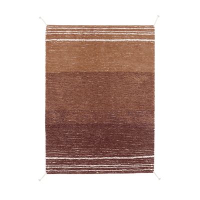Reversible Washable Area Rug