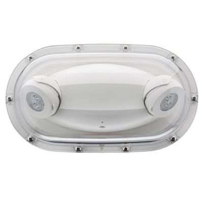 Quantum Adjustable LED Emergency Light by Lithonia Lighting at