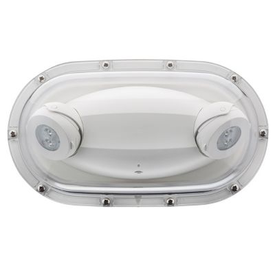 Oval LED Emergency Light