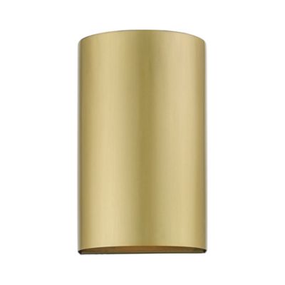 Scarlett Indoor/Outdoor Wall Sconce