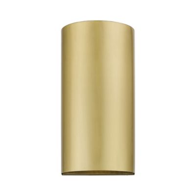 Scarlett Indoor/Outdoor Wall Sconce