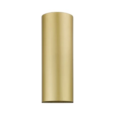 Scarlett Indoor/Outdoor Wall Sconce