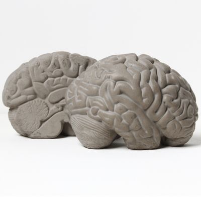 Grey Matters Book Stopper - Thumbnail 5