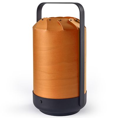 Mini Chou Portable Cordless LED Lamp