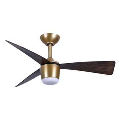 Elavan LED Indoor/Outdoor Ceiling Fan
