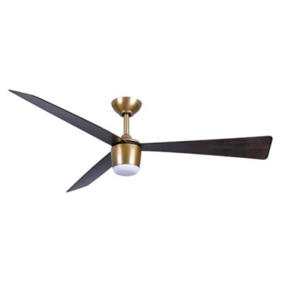 Elavan LED Indoor/Outdoor Ceiling Fan