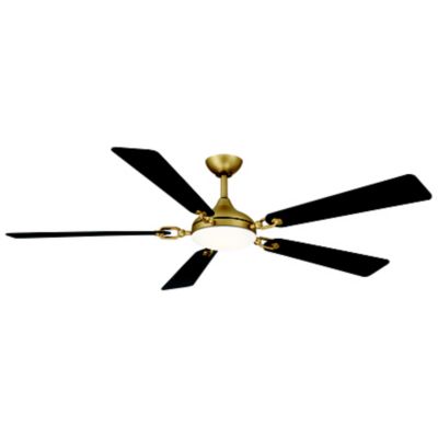 Cadena LED Smart Ceiling Fan