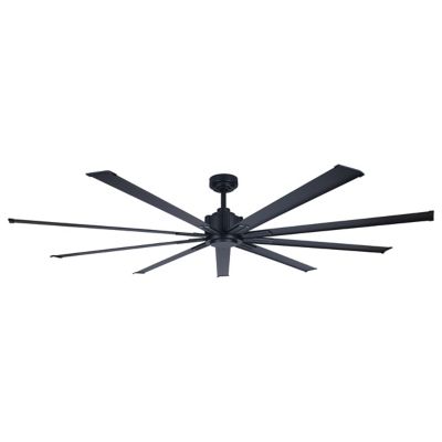 Xtreme Ceiling Fan
