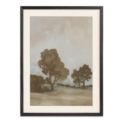 Braden Framed Print