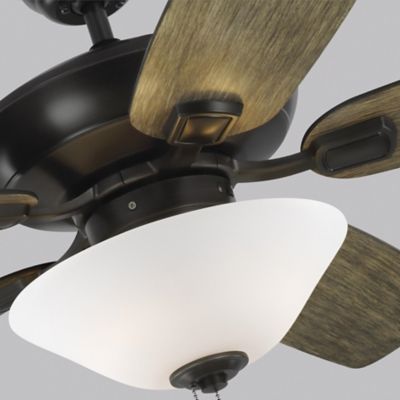 Colony Max Plus Ceiling Fan