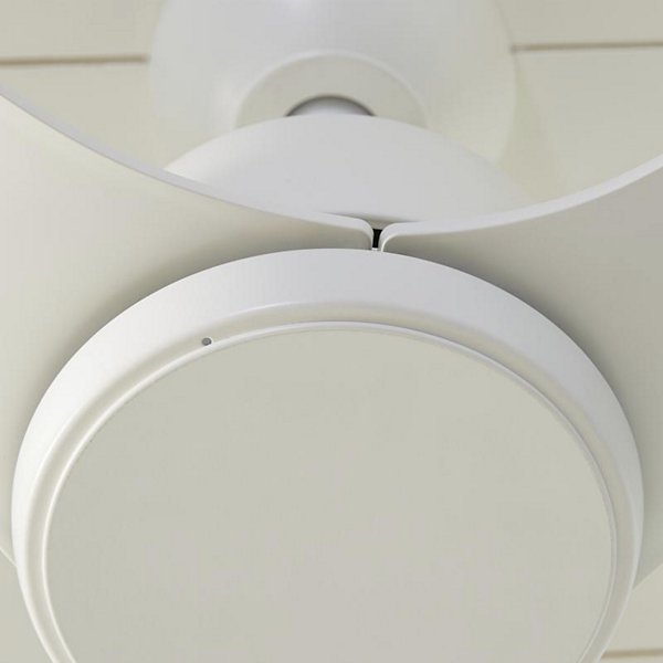 Avila Coastal LED Ceiling Fan
