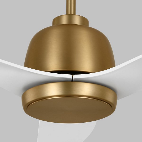 Avila LED Ceiling Fan