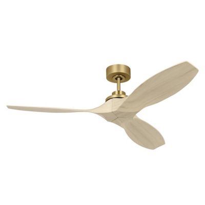 Collins Indoor/Outdoor Smart Ceiling Fan