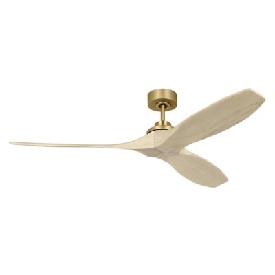 Collins Indoor/Outdoor Smart Ceiling Fan