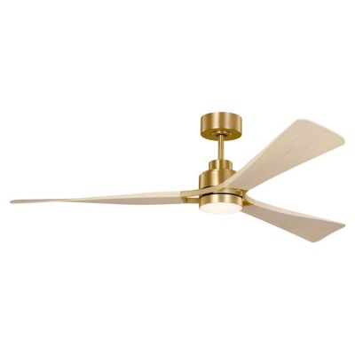 Trillium Indoor/Outdoor LED Ceiling Fan