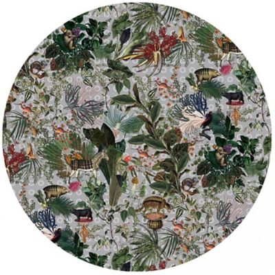 Menagerie of Extinct Animals Round Area Rug