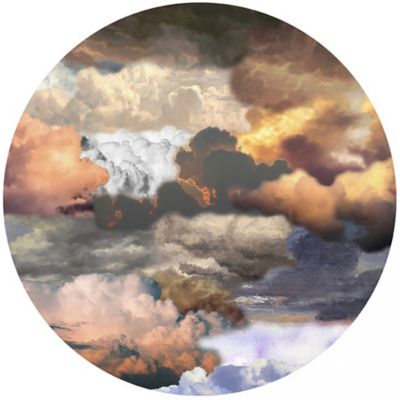 Walking On Clouds Round Area Rug