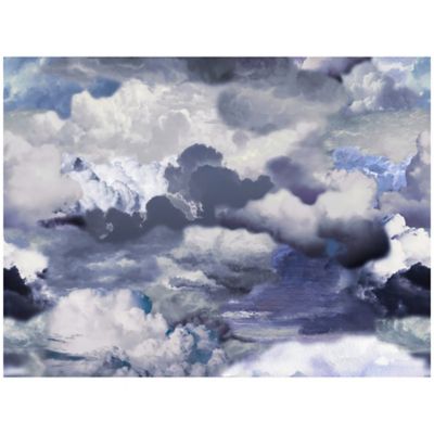 Walking On Clouds Area Rug