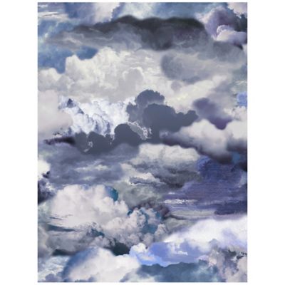 Walking On Clouds Area Rug