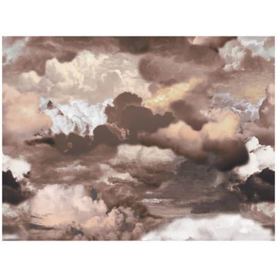 Walking On Clouds Area Rug