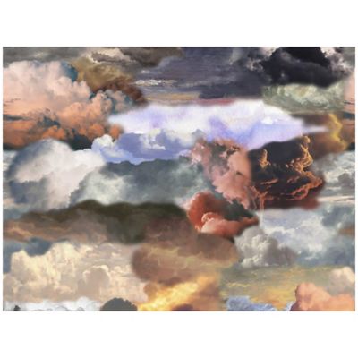Walking On Clouds Area Rug
