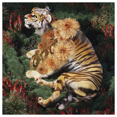 Golden Tiger Area Rug