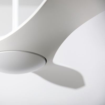 Shown in Matte White with Matte White fan body and blade finish, no light, detail view