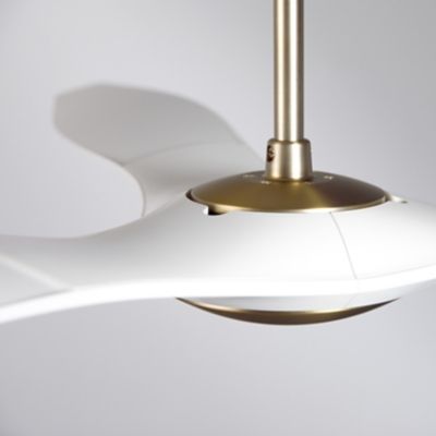 Shown in Satin Brass with Matte White fan body and blade finish, no light, detail view