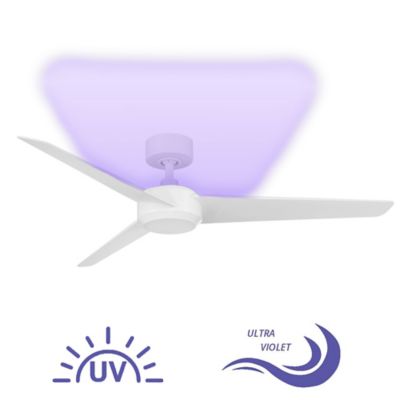 Ultra UV-C Smart Ceiling Fan Forms at