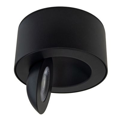 I Spy LED Outdoor Flushmount