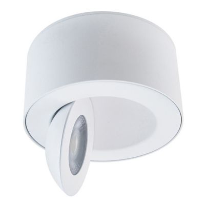 I Spy LED Outdoor Flushmount